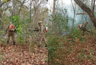 Cinco equipes do Corpo de Bombeiros combatem incendio florestal em Mato Grosso