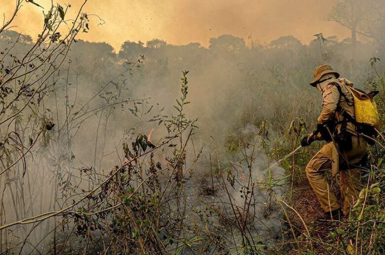 Proibição do fogo começa hoje para proteger a Amazônia, Cerrado e Pantanal