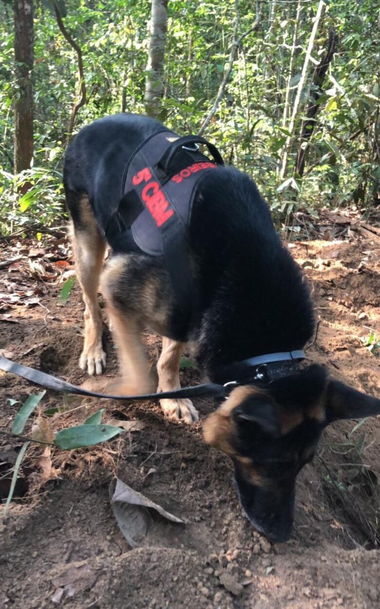 Localizado corpo da adolescente Yasmin em Lucas do Rio Verde