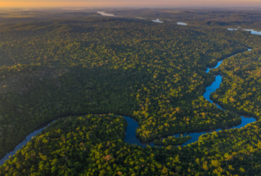 Mato Grosso planeja fundo internacional para preservação ambiental
