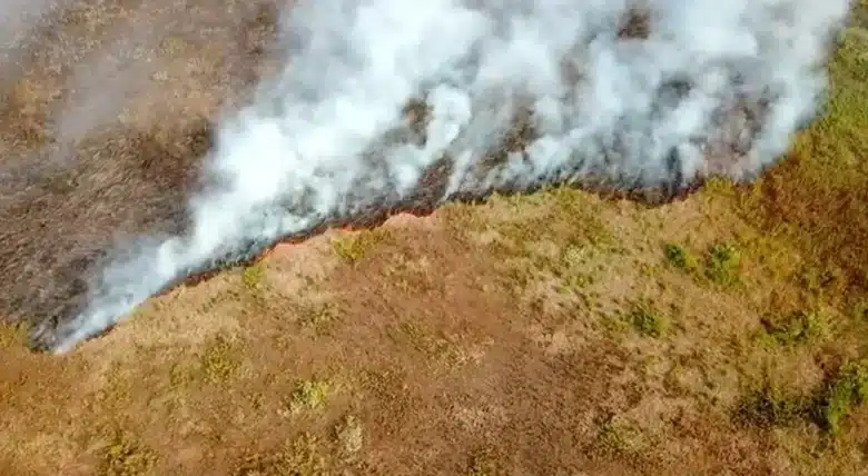 Corpo de Bombeiros extingue sete incêndios e combate outros cinco em Mato Grosso