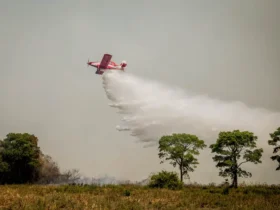 Corpo de Bombeiros combate 24 incêndios florestais em Mato Grosso nesta quarta-feira (02.10)