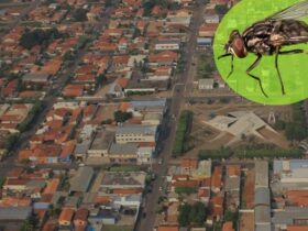 Ministerio Publico de Mato Grosso estabelece medidas para evitar e combater mosca dos estabulos