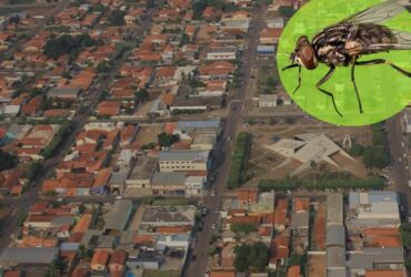 Ministerio Publico de Mato Grosso estabelece medidas para evitar e combater mosca dos estabulos