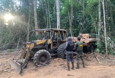 Operacao Amazonia desmobiliza extracao ilegal de madeira dentro de reserva em Mato Grosso