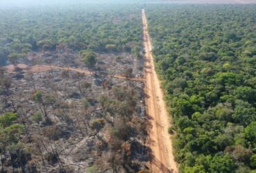 Operação integrada resulta na aplicação de R$ 325 mil em multas ambientais em Mato Grosso