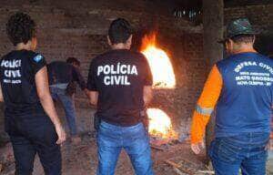 Polícia Civil incinerando drogas