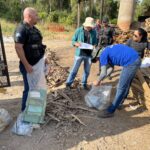 Policia Civil incinera cerca de 350 quilos de entorpecentes em Caceres