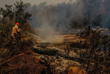 Proprietarios de fazenda em Mato Grosso terao que preservar area atingida por queimada por 15 anos