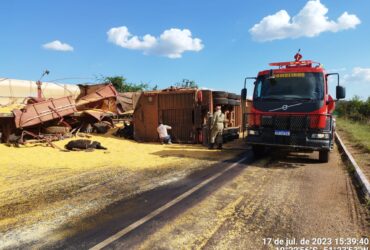 Bois são resgatados após tombamento de caminhão em Mato Grosso