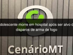 adolescente morre em hospital apos ser alvo de disparos de arma de fogo 834514