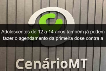 adolescentes de 12 a 14 anos tambem ja podem fazer o agendamento da primeira dose contra a covid 19 1086165