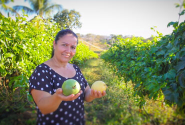 Ângela produz maracujá no município de Nov Brasilândia já pretende expandir a área de produção  - Foto por: Lucas Diego/Seaf-MT