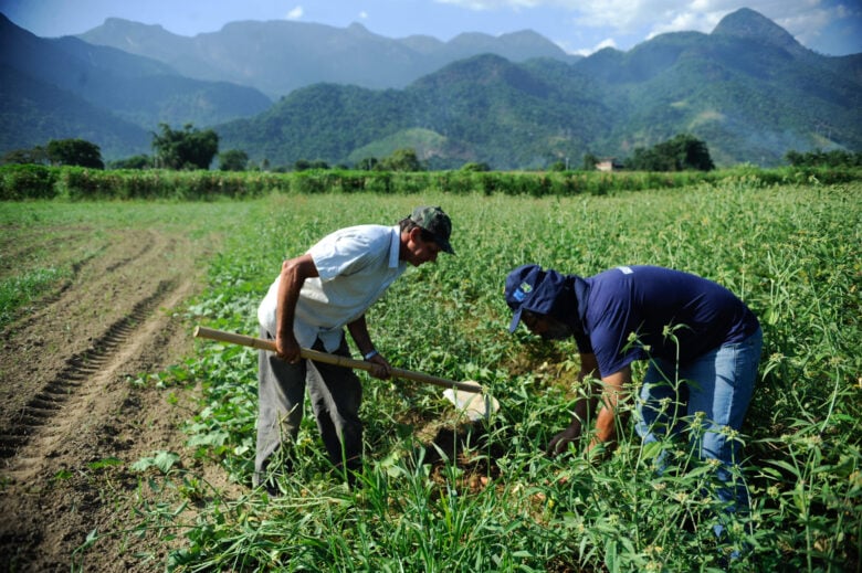 agricultura familiar e 8a maior produtora de alimentos do mundo scaled 1