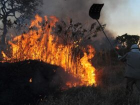 amazonia concentra 90 da area com focos de incendio no 1o bimestre
