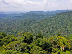 Amazônia