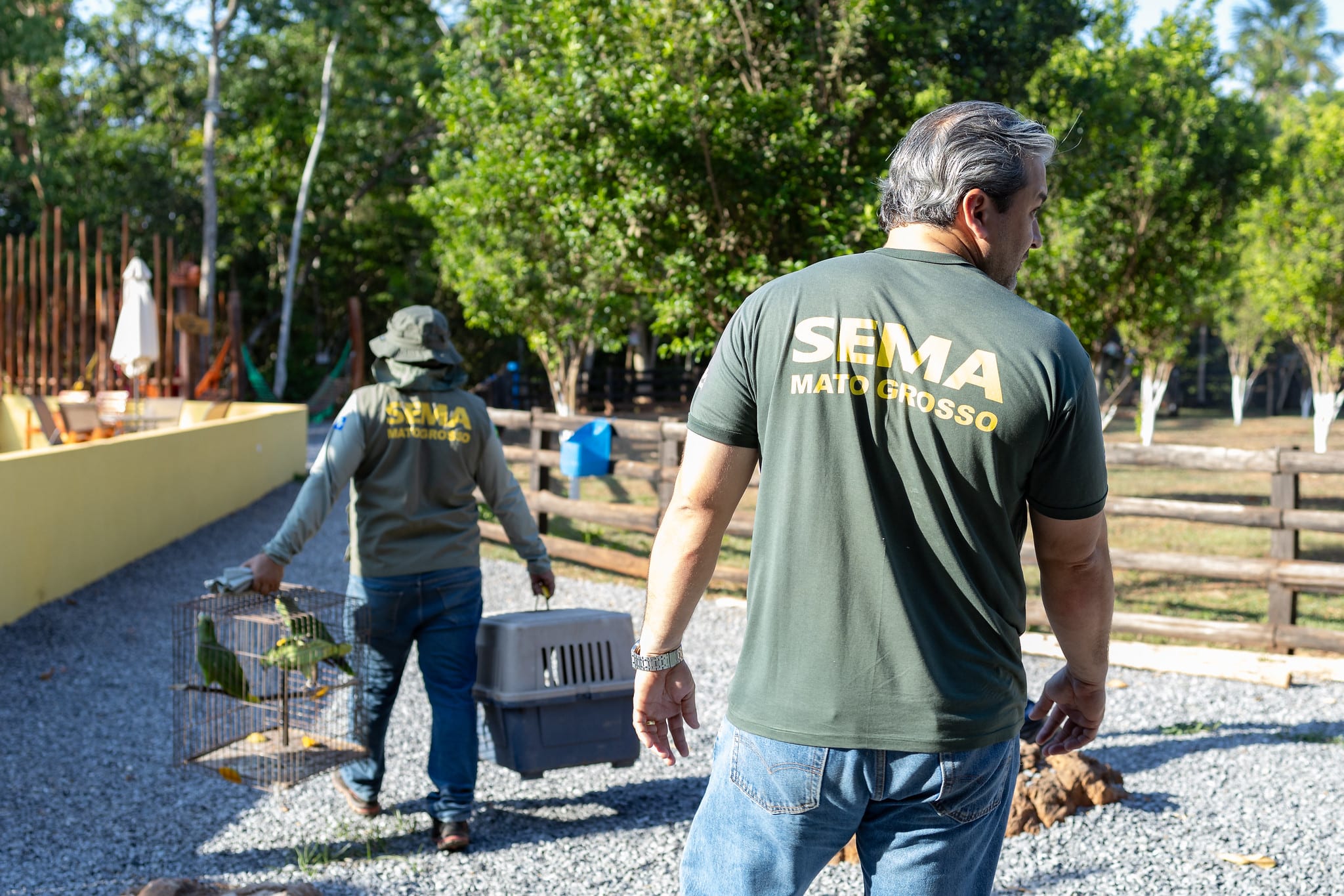 areas de soltura sao fundamentais para reabilitacao e devolucao de animais silvestres a natureza veja videos interna 3 2023 10 29 1989357906