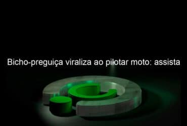 bicho preguica viraliza ao pilotar moto assista 1115357