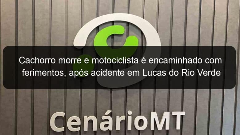 cachorro morre e motociclista e encaminhado com ferimentos apos acidente em lucas do rio verde 891920