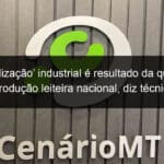 canibalizacao industrial e resultado da queda na producao leiteira nacional diz tecnico da embrapa 1245147