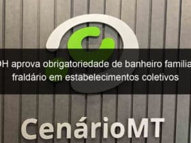 cdh aprova obrigatoriedade de banheiro familiar e fraldario em estabelecimentos coletivos 1144403