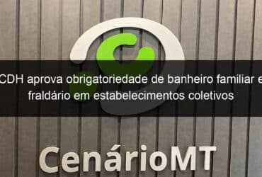 cdh aprova obrigatoriedade de banheiro familiar e fraldario em estabelecimentos coletivos 1144403