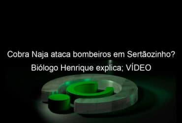 cobra naja ataca bombeiros em sertaozinho biologo henrique explica video 1133850