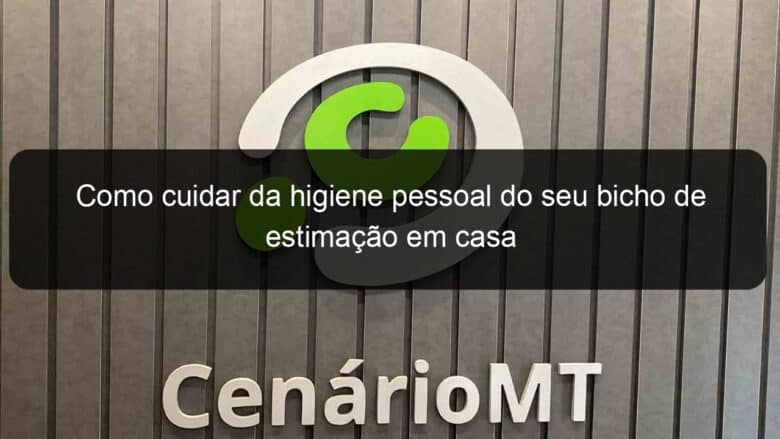 como cuidar da higiene pessoal do seu bicho de estimacao em casa 914799