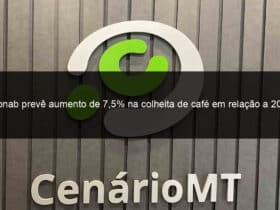 conab preve aumento de 75 na colheita de cafe em relacao a 2022 1365479