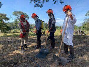 Corpo de Bombeiros abre processo seletivo para contratação de brigadistas florestais