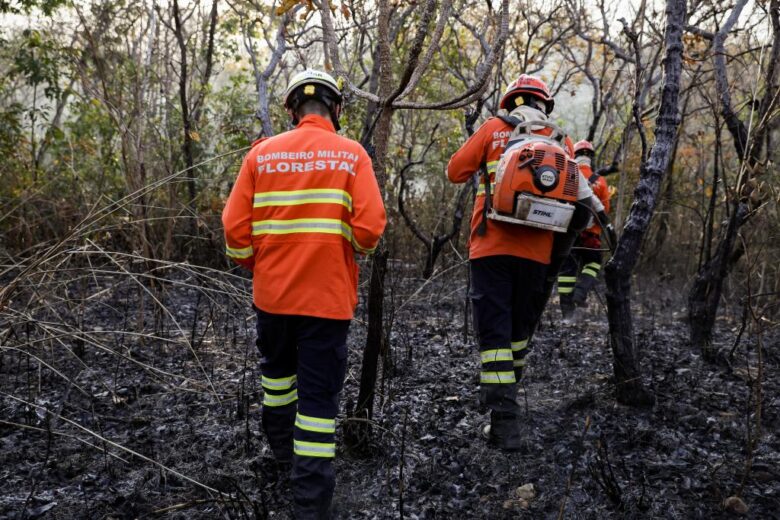 Governo do Estado investe R$ 77 milhões para o combate de crimes ambientais em 2023  - Foto por: Christiano Antonucci/Secom-MT