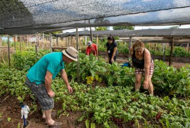 cra analisa cultivo de hortas comunitarias em terrenos da uniao