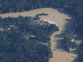 cupula acordo deve evitar ponto de nao retorno da amazonia scaled 1