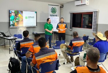 Ao todo 15 agentes de proteção e defesa civil participam do curso  - Foto por: Defesa Civil-MT