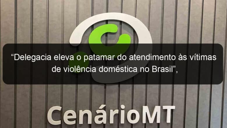 delegacia eleva o patamar do atendimento as vitimas de violencia domestica no brasil afirma ministra damares alves 961174