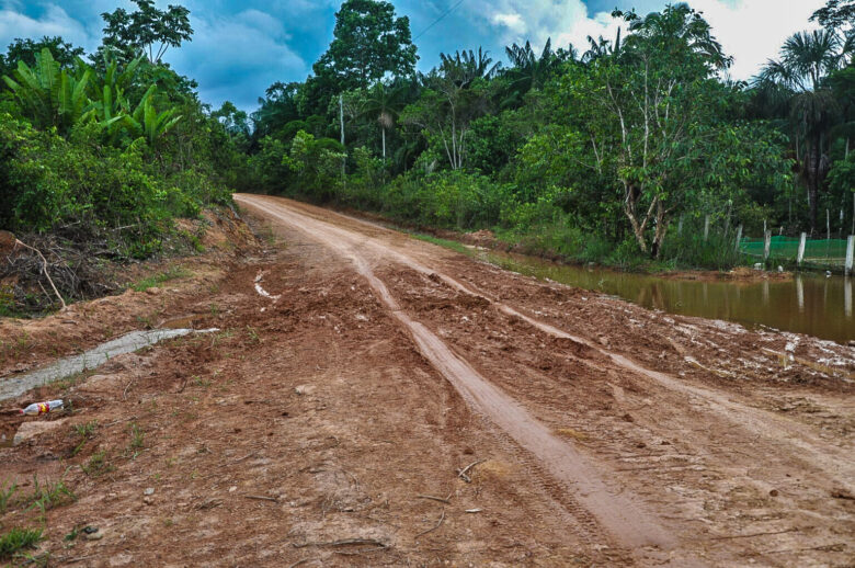 10/08/2023, Ambientalistas denunciam desmatamento às margens de rodovia amazônica. Foto: Cristie Sicsú