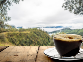 Dia Internacional do Café