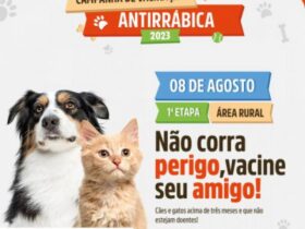 em duas semanas sorriso imuniza mais de 2 2 mil animais