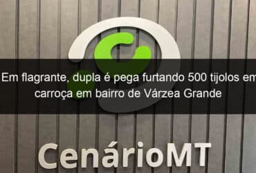 em flagrante dupla e pega furtando 500 tijolos em carroca em bairro de varzea grande 877652