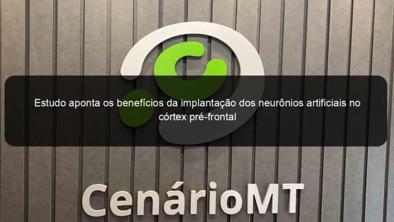 estudo aponta os beneficios da implantacao dos neuronios artificiais no cortex pre frontal 1365011