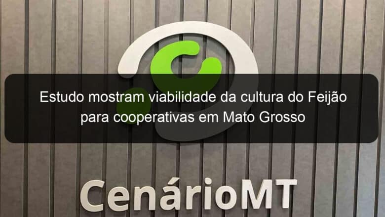 estudo mostram viabilidade da cultura do feijao para cooperativas em mato grosso 1155256