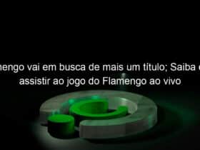 flamengo vai em busca de mais um titulo saiba onde assistir ao jogo do flamengo ao vivo 1035308