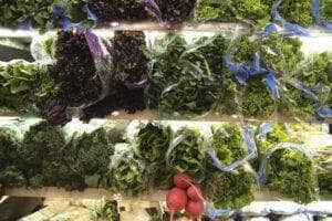 Preços de hortaliças seguem com queda nos principais mercados atacadistas analisados pela Conab