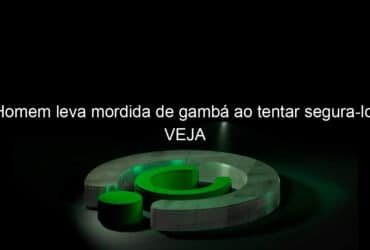 homem leva mordida de gamba ao tentar segura lo veja 1142147