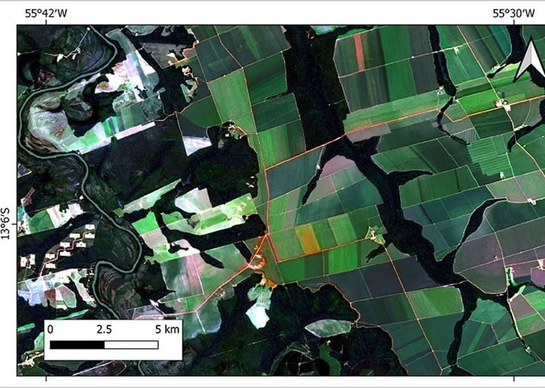 Inteligência artificial torna mais preciso o mapeamento da intensificação agrícola no Cerrado - Foto: Divulgação/Embrapa