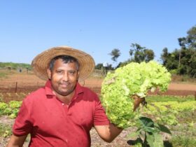 investimentos fomentam producao de frutas e hortalicas da agricultura familiar