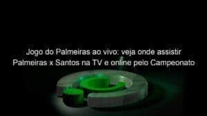 Jogo do Palmeiras ao vivo: veja onde assistir Palmeiras x Santos na TV e online pelo Campeonato Brasileiro