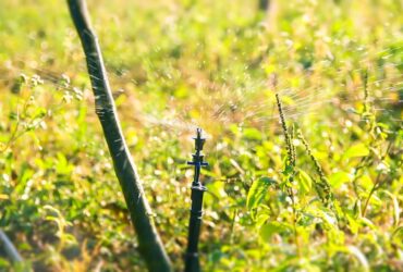 Produtores recebem kits de irrigação e orientação da Empaer sobre manuseio de equipamento - Foto por: Empaer