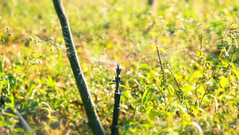 Produtores recebem kits de irrigação e orientação da Empaer sobre manuseio de equipamento - Foto por: Empaer