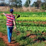 lei que retoma o programa de aquisicao de alimentos e sancionada